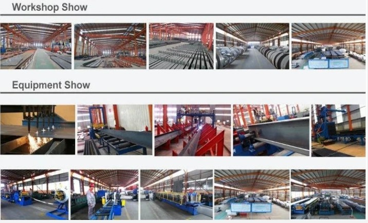 Qingdao Xinguangzheng Husbandry Co.,  Ltd สายการผลิตของโรงงาน