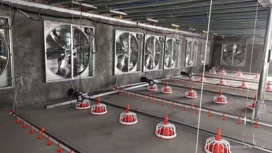 ระบบพื้นไบรอิลเลอร์ OEM ระบบพื้นไบรอิลเลอร์ 380 วอลล์