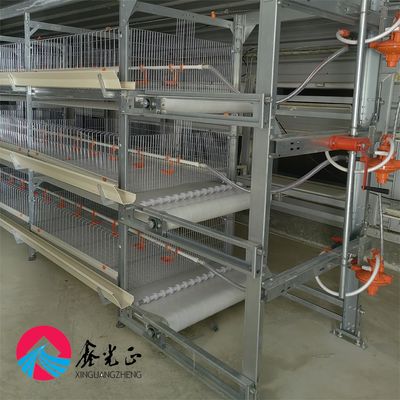 โครงสร้างเหล็ก Prefab โรงเลี้ยงไก่ โรงเลี้ยงสัตว์เกษตร