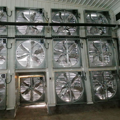 OEM แบบสแตนเดอร์ไก่บ้านโครงสร้างเหล็กกับหน้าต่างเลื่อน