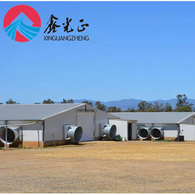 โครงการประกอบการเพาะเลี้ยงสัตว์ Prefabricated H Section Steel PVC Insulation