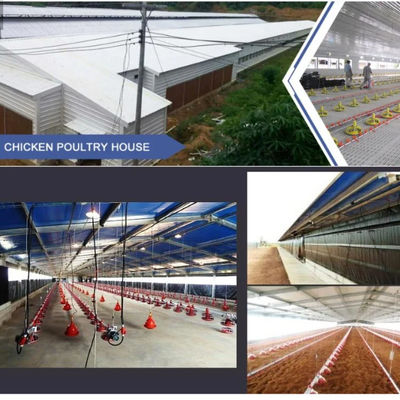 โครงการประกอบการเพาะเลี้ยงสัตว์ Prefabricated H Section Steel PVC Insulation