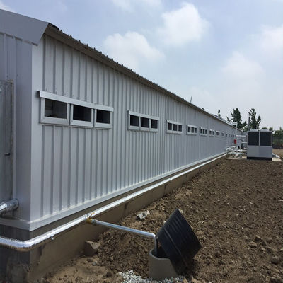 CE บ้านเกษตรสัตว์ โครงสร้างเหล็ก บ้านไก่และอุปกรณ์สําหรับไก่
