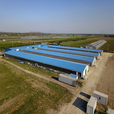 CE บ้านเกษตรสัตว์ โครงสร้างเหล็ก บ้านไก่และอุปกรณ์สําหรับไก่