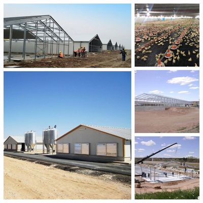 CE บ้านเกษตรสัตว์ โครงสร้างเหล็ก บ้านไก่และอุปกรณ์สําหรับไก่