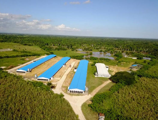 ISO บ้านเกษตรสัตว์ โครงสร้างเหล็กประกอบพร้อม โครงการเกษตรไก่