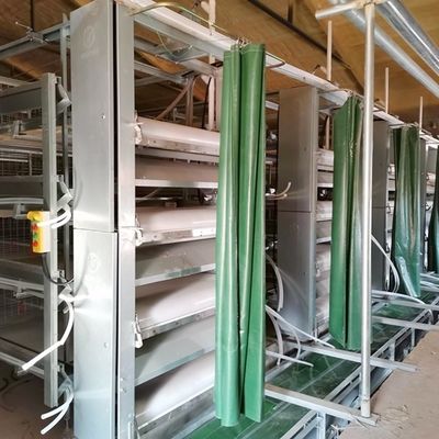 ความยืดหยุ่นต่ํา Broiler Chicken Cage System การออกแบบที่เรียบง่ายและทันสมัย