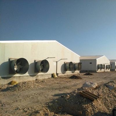 บ้านนก Prefab บ้านนกที่ทําตามความต้องการ