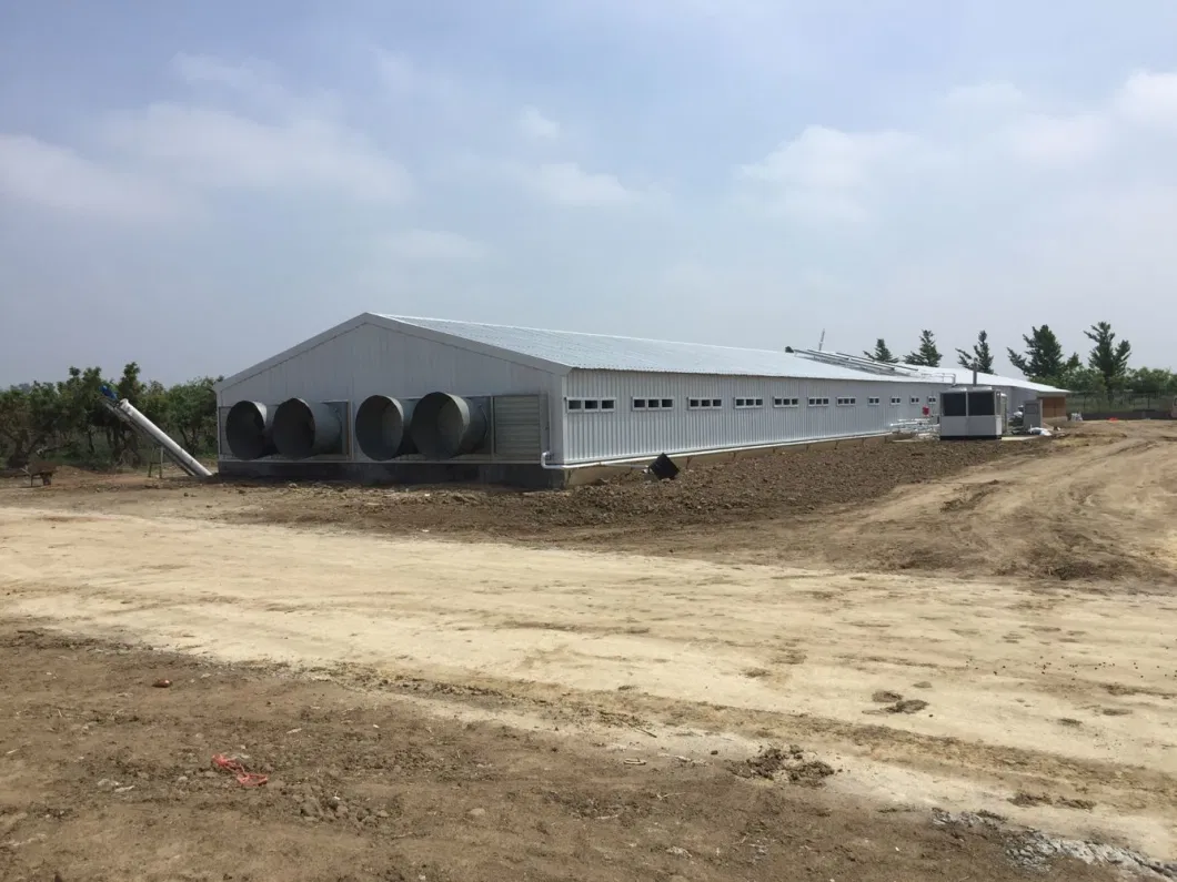 CE บ้านเกษตรสัตว์ โครงสร้างเหล็ก บ้านไก่และอุปกรณ์สําหรับไก่ 1