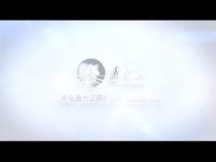 การประชุมเชิงปฏิบัติการโครงสร้างเหล็ก